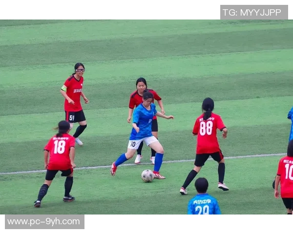 足球踢踢：探索这项运动背后的激情与团队精神的无限魅力